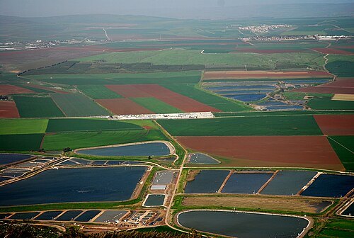 Jezreel Valley