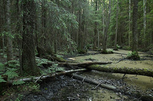 Tahkuna Nature Reserve