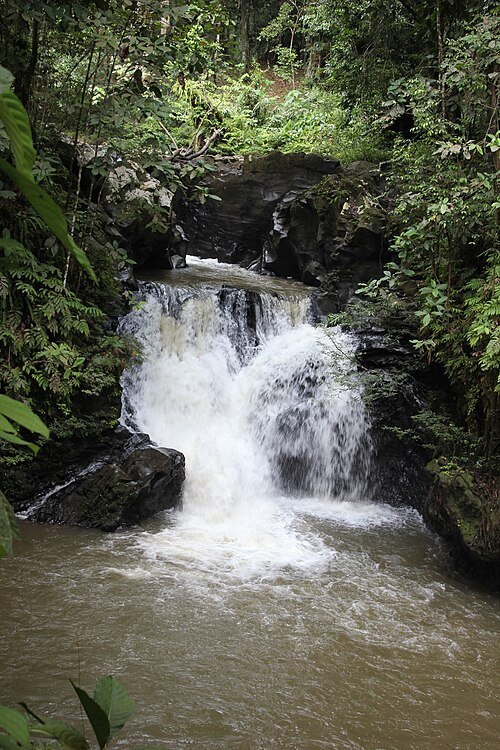 Tawau Hills National Park