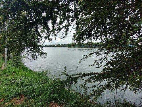Jakkur Lake