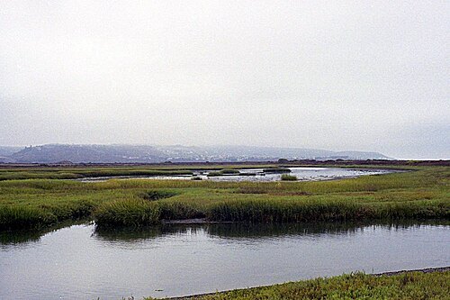 Tijuana River National Estuarine Research Reserve