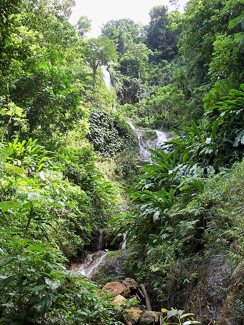 Tufton Hall Waterfall