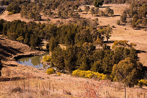 Tuggeranong Creek
