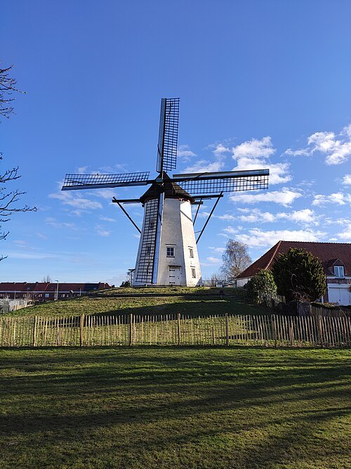De Witte Molen, Sint-Niklaas