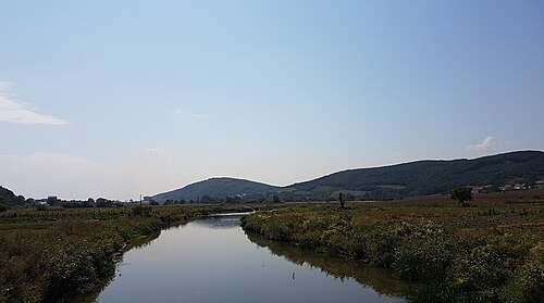 Llapi