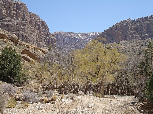 Urak Valley