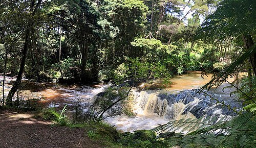 Waitakaruru Stream