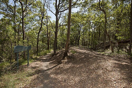 Whites Hill