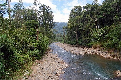 Yorkin River