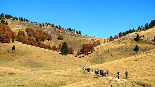 Hajla e Shkrelit