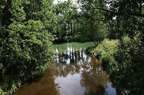río Bayas