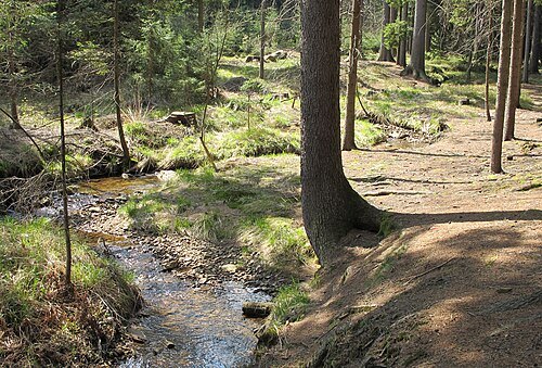 Novohradka