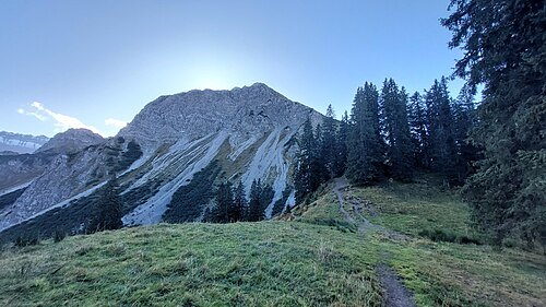 Entschenkopf