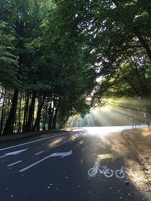 Bois de la Cambre - Ter Kamerenbos
