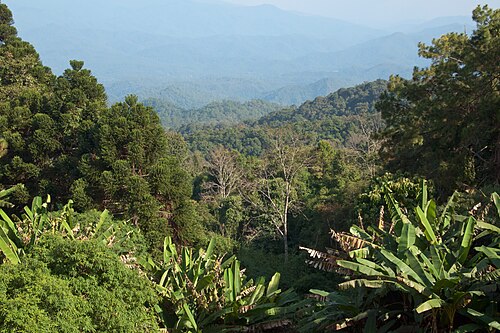 Doi Suthep-Pui National Park
