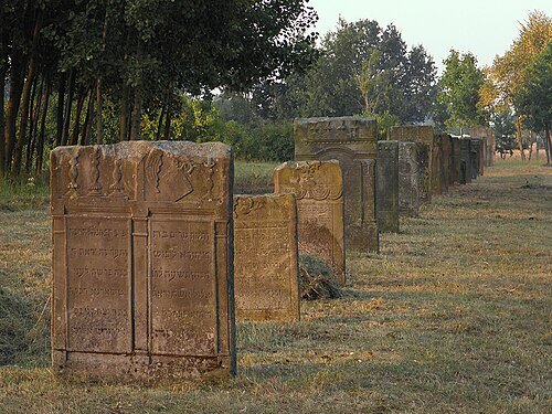Jewish Cemetery in Radom