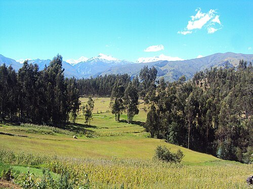 Cashán