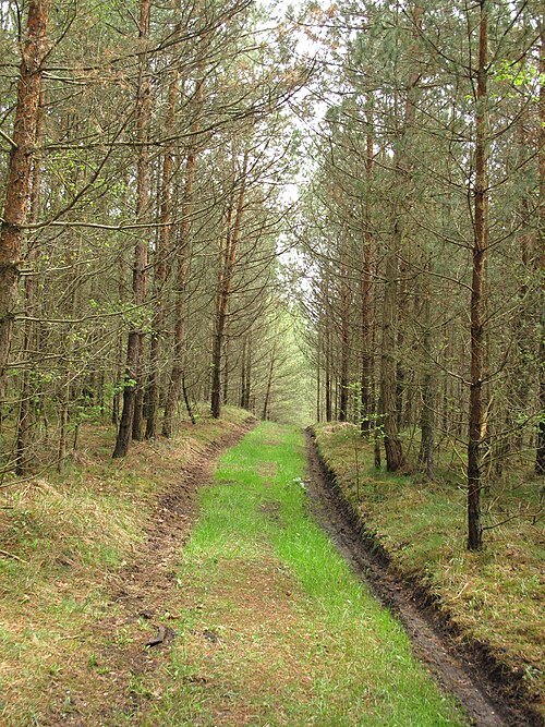 Bořinka