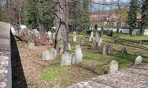 Jewish cemetery in Hluboká nad Vltavou