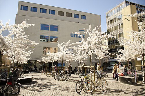 Library of the Free University of Bozen-Bolzano