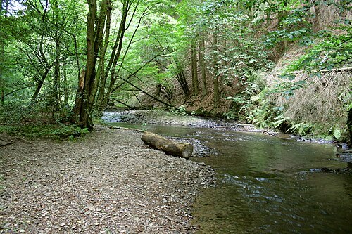 Eifgenbach