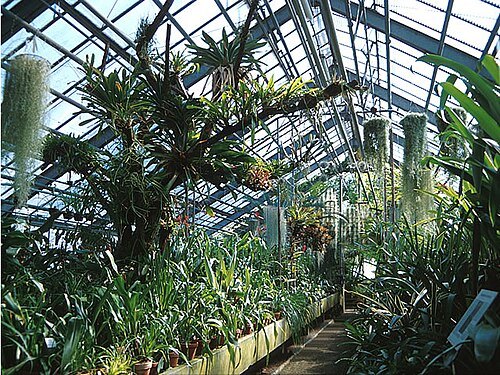 Botanischer Garten der Universität Heidelberg