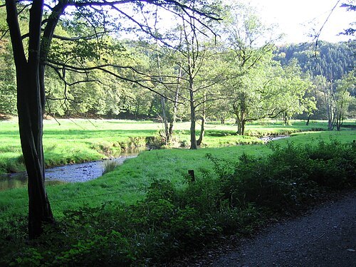 Naafbach