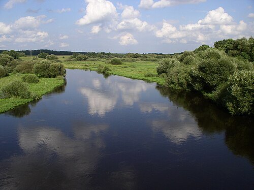 Svislach River