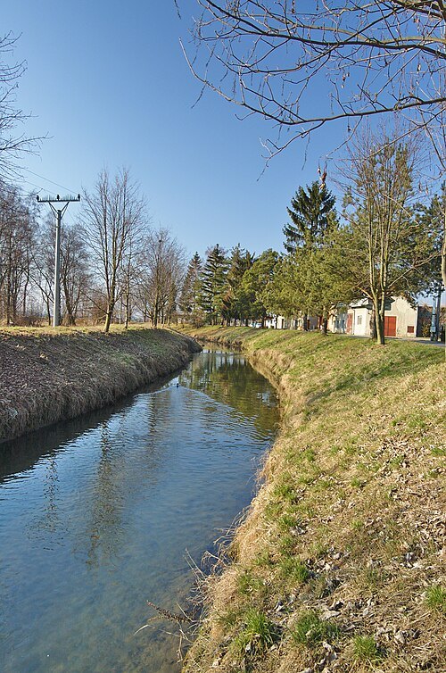 Blata