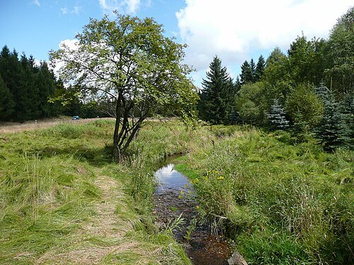 Schweinitz