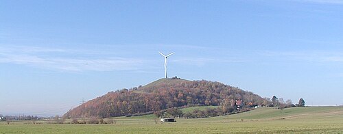 Grüner Heiner