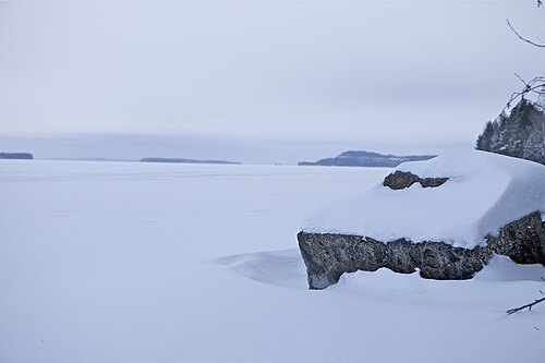 Höytiäinen