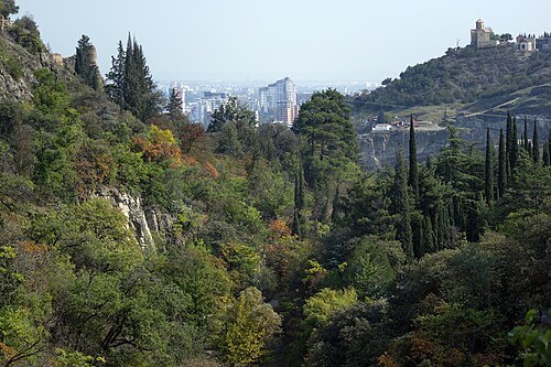 National Botanical Garden of Georgia (საქართველოს ეროვნული ბოტანიკური ბაღი)