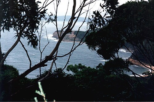 Bouddi National Park