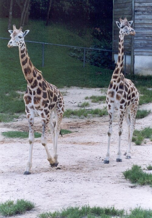 Curitiba Zoo