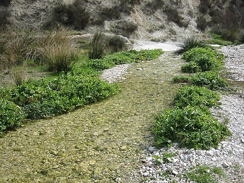 Montnegre River