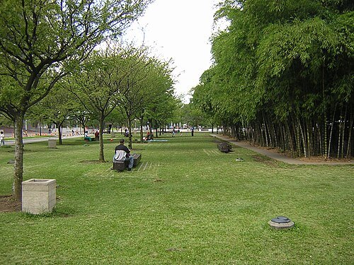 Barefoot Park