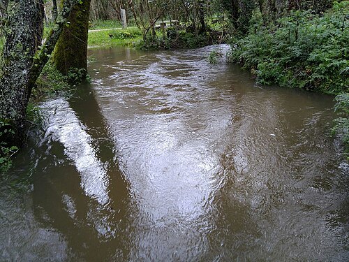 Caselas River