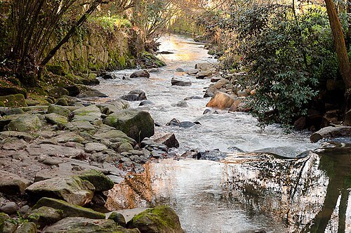 Lagares River