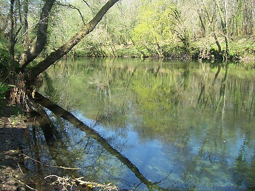 Tea river