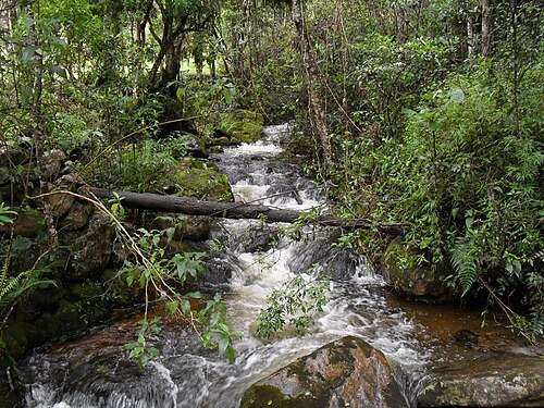 Iguaque Fauna and Flora Sanctuary