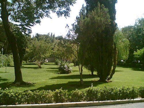 City Park