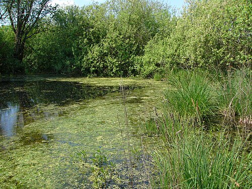 Litovelské Pomoraví Protected Landscape Area