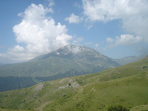Borislavec