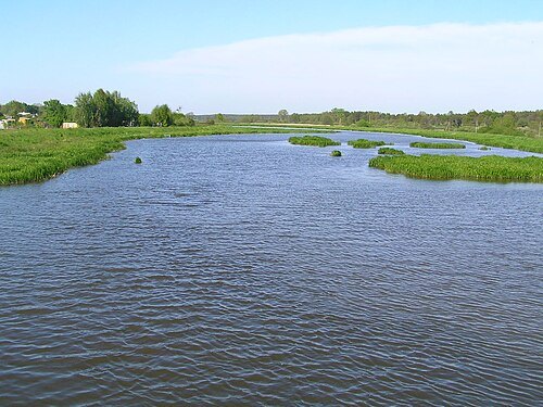 Bystrzyca