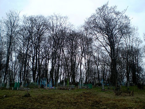Tryšynskija Cemetery