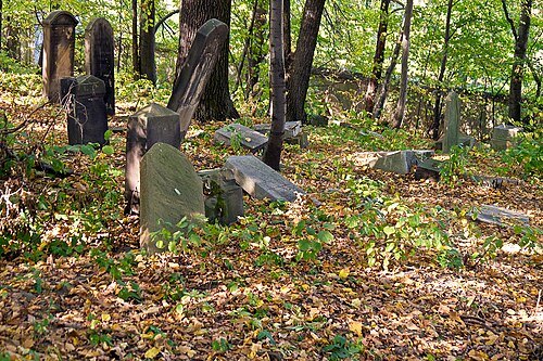 Jewish cemetery in Bieruń