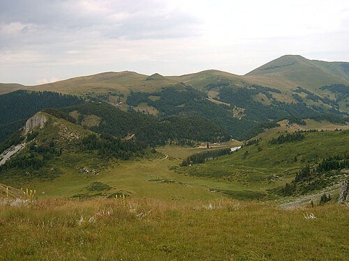 Crna Glava