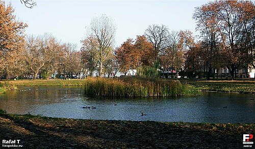 Stary Ogród w Radomiu