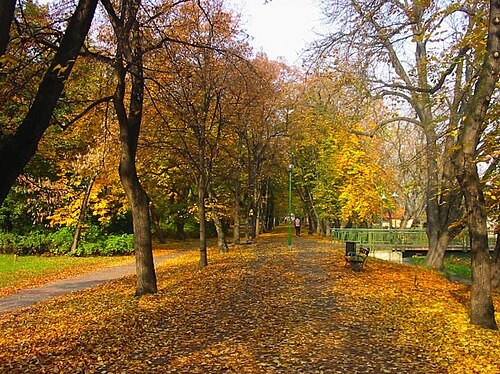 Archbishop's Garden